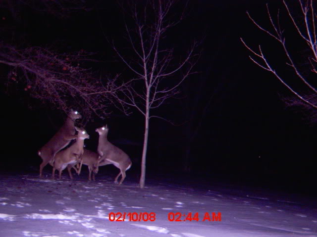 mdgc0004_01.jpg