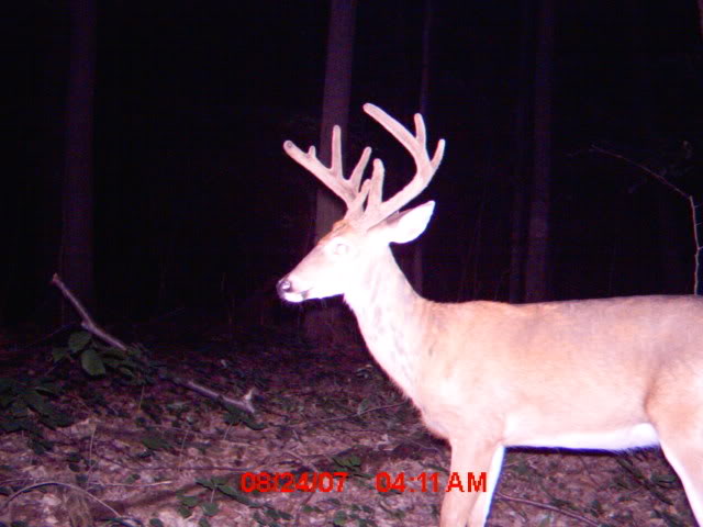 mdgc0046_00.jpg