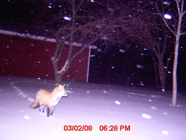 mdgc0048_01.jpg