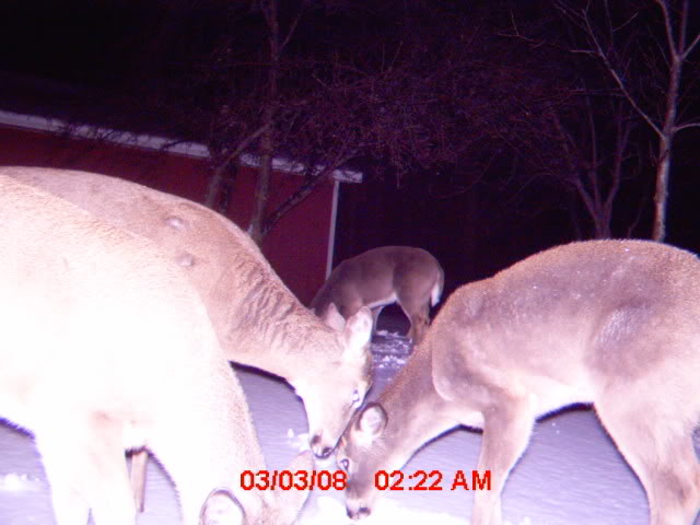 mdgc0054.jpg