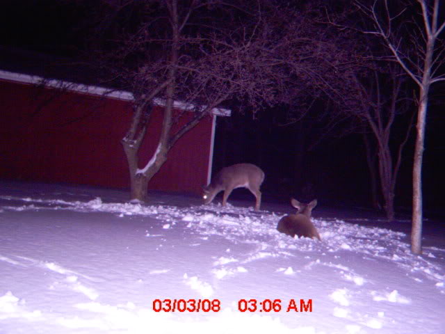 mdgc0056.jpg