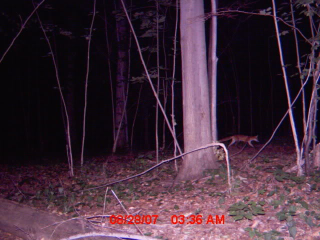 mdgc0063_00.jpg
