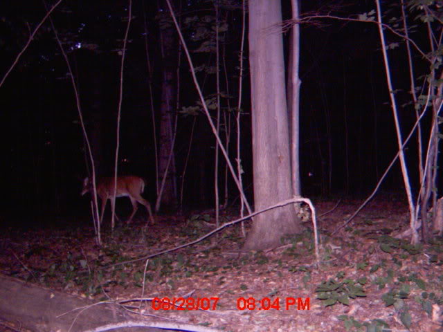 mdgc0071_00.jpg