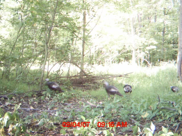 mdgc0102_00.jpg
