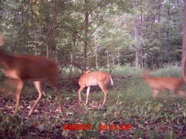 mdgc0112_00.jpg