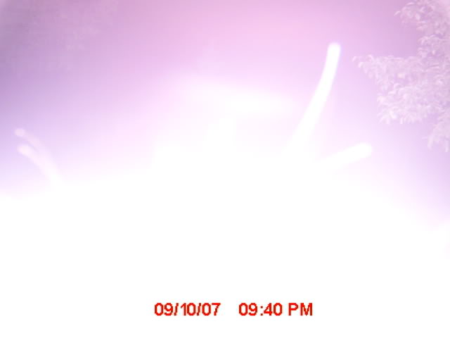 mdgc0135_00.jpg