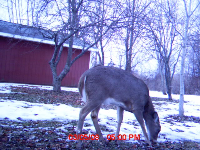 mdgc0226.jpg