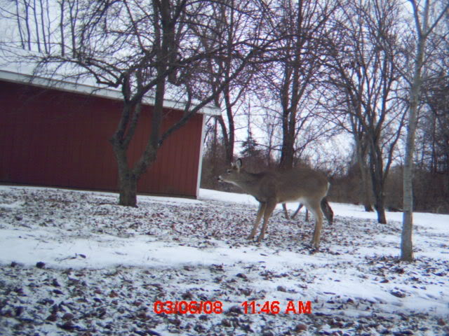 mdgc0238.jpg