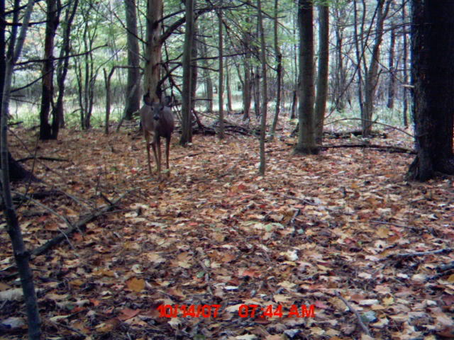 mdgc0243.jpg