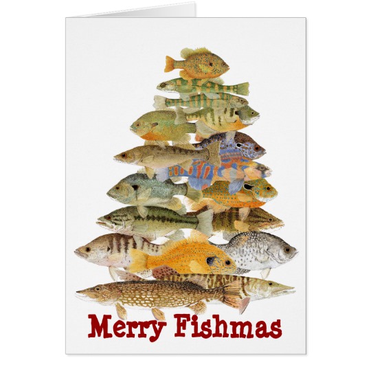 Image result for fish christmas