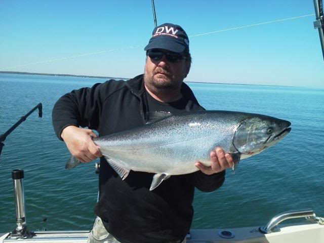mikeyking_zpsaf07fe66.jpg