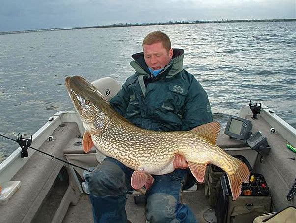 monsterpike01.jpg