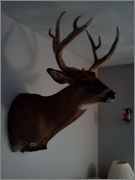 mount.jpg