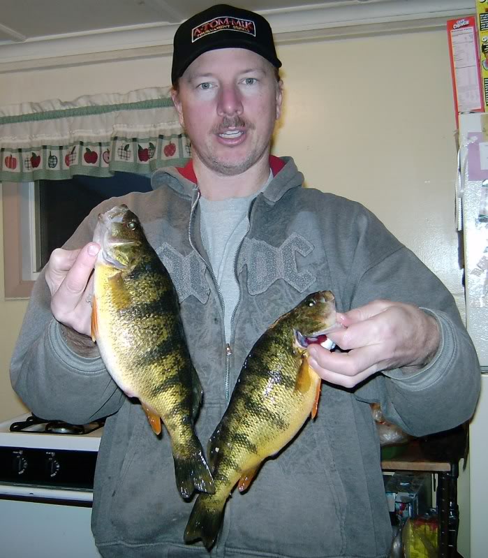 niceperch.jpg
