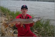 northern_pike.jpg