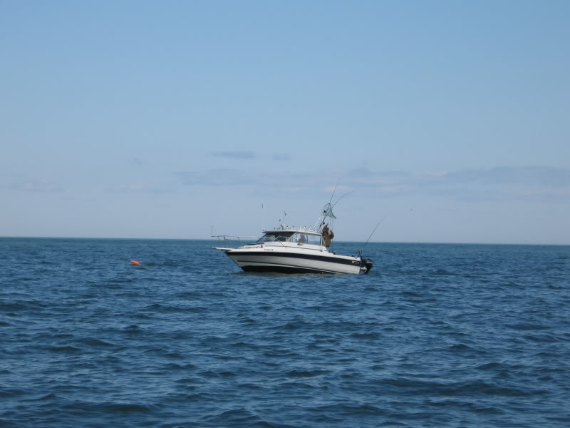 olcott3-21005.jpg