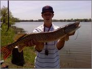 pike.jpg