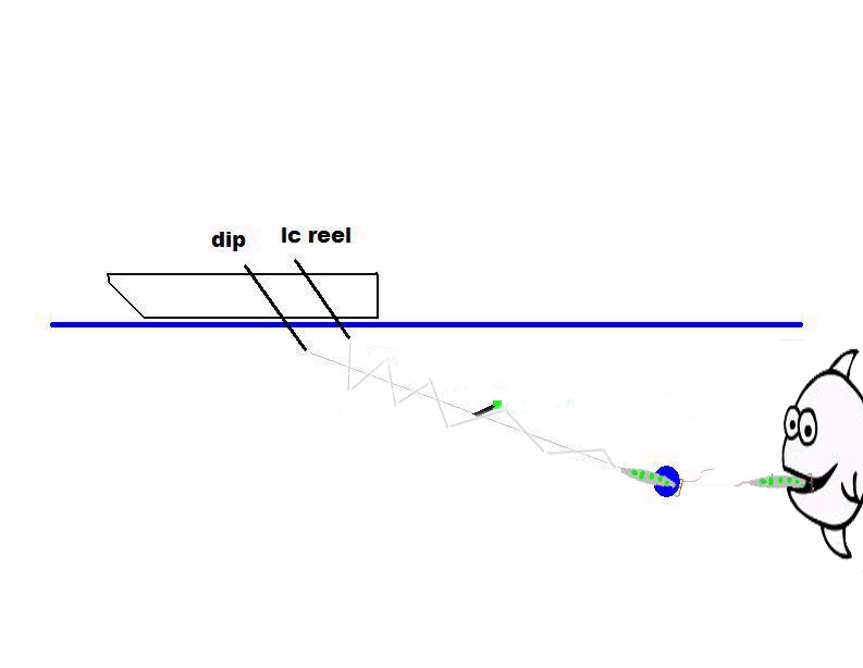 reeeel-dl.jpg