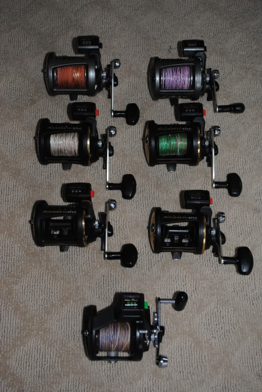 reels001.jpg