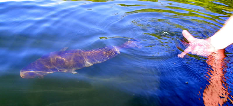 release-2.jpg