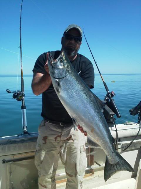 rob23king_zpsfa9d0717.jpg