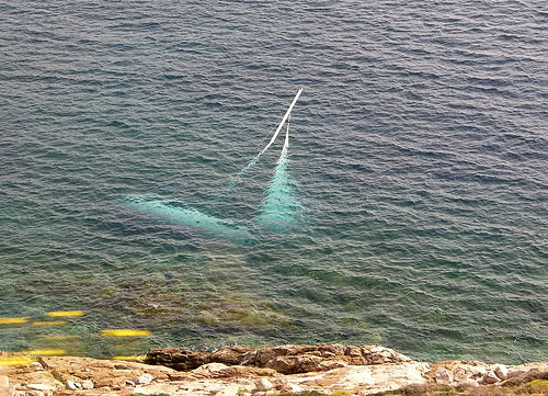 sailboat3.jpg