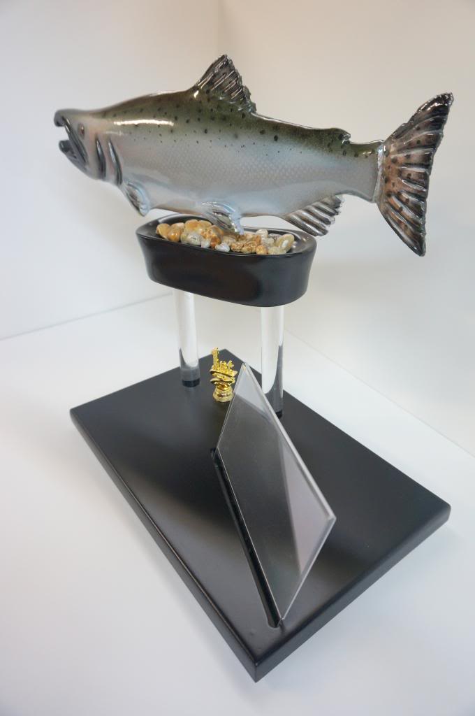 salmontrophy2-2014_zps91e21b62.jpg