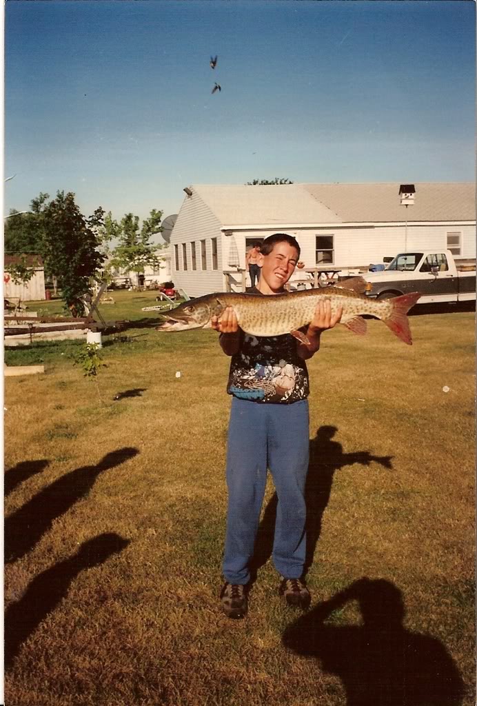 scan.jpg
