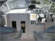 sea_fox_003.jpg