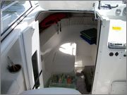 sea_fox_014.jpg