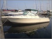 side_view_2.jpg