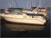 side_view_3.jpg