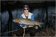 steelhead.jpg