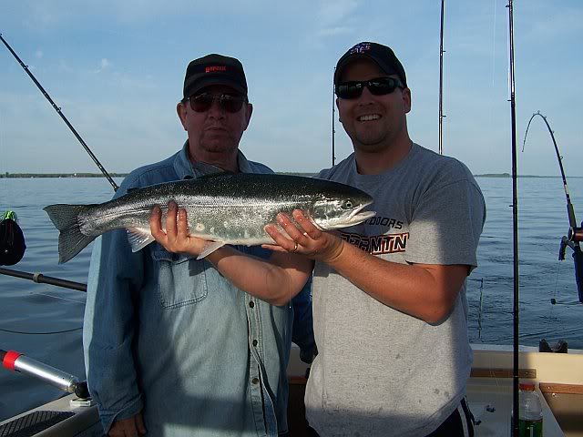 steelhead1.jpg