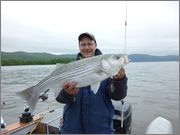 stripers12_007a.jpg