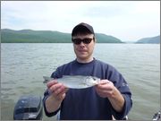 stripers12_011a.jpg