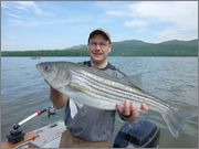 stripers12_012a.jpg