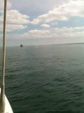 th_013.jpg