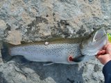 th_S5000689-Copy.jpg