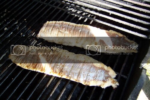 vidalialaketrout002.jpg