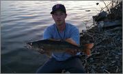 walleye.jpg