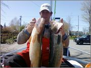 walleye1.jpg