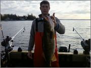 walleye4.jpg