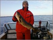walleye5.jpg
