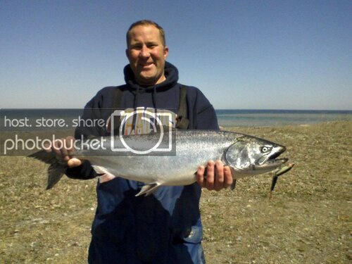 weaversalmon.jpg