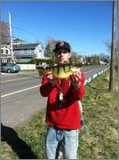 yellow_perch.jpg