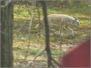 yote0006.jpg