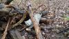 post-139733-14516678478489_thumb.jpg
