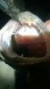 post-151276-14517789649555_thumb.jpg