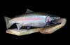 post-159651-0-40338500-1452091102_thumb.jpg